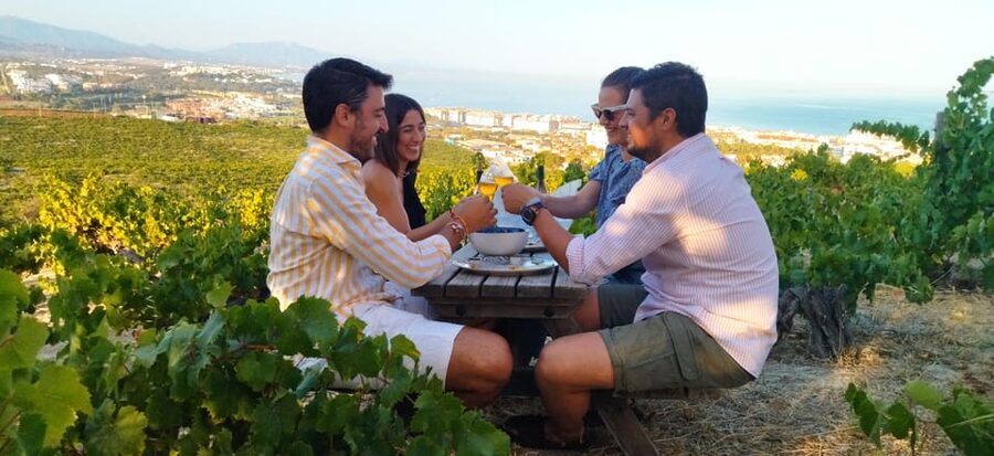 Manilva: Nilva Vineyard, Wine Tasting & Tapas Guided Tour - Why Manilva’s vineyard story matters