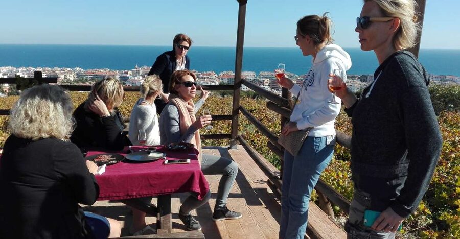 Manilva: Nilva Vineyard, Wine Tasting & Tapas Guided Tour - Inside Nilva’s small artisan winery