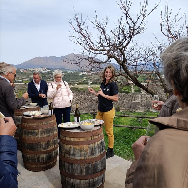 Manilva: Nilva Vineyard, Wine Tasting & Tapas Guided Tour - What happens if the weather changes