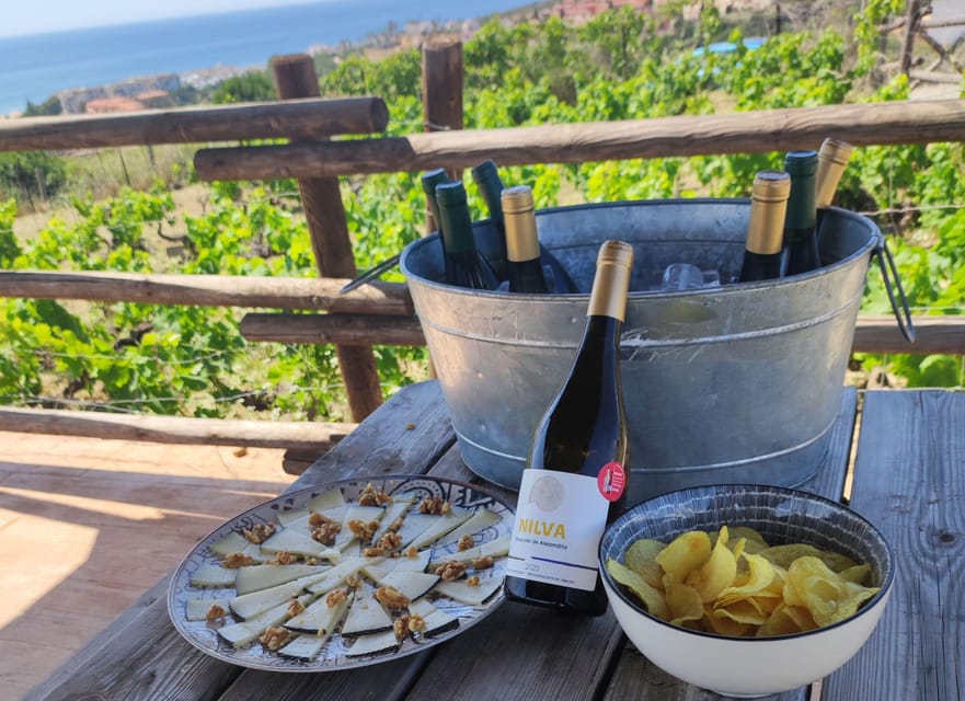 Manilva: Nilva Vineyard, Wine Tasting & Tapas Guided Tour - Who will enjoy this Manilva tour most?