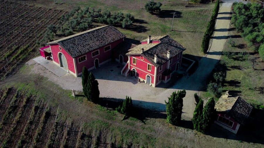 Marche: Tasting and Tour of Local Wines and Flavors at the D'Erasmo Winery - Meeting the family winery in the Piceno area