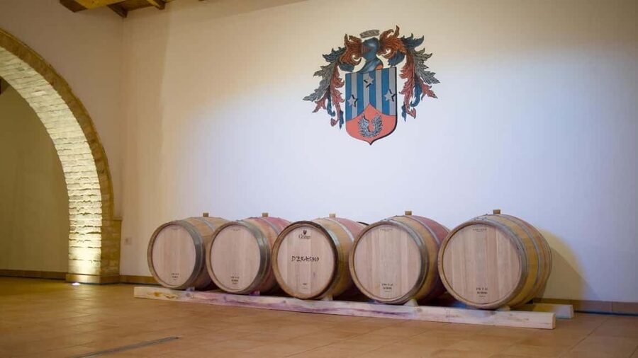 Marche: Tasting and Tour of Local Wines and Flavors at the D'Erasmo Winery - The three wines on the tasting table