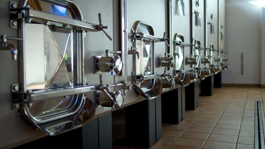 Marche: Tasting and Tour of Local Wines and Flavors at the D'Erasmo Winery - The atmosphere changes with the season