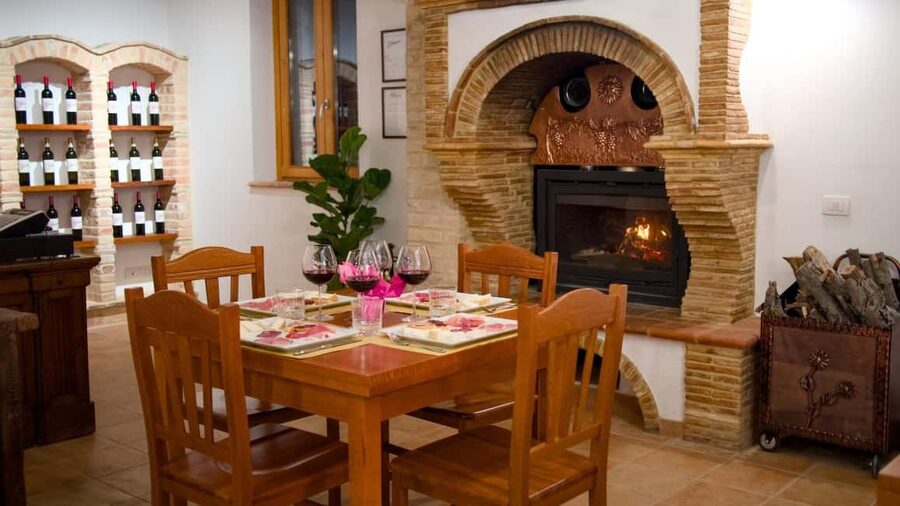 Marche: Tasting and Tour of Local Wines and Flavors at the D'Erasmo Winery - Value, flexibility, and practical planning