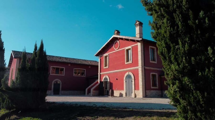 Marche: Tasting and Tour of Local Wines and Flavors at the D'Erasmo Winery - From grape processing to the barrel room