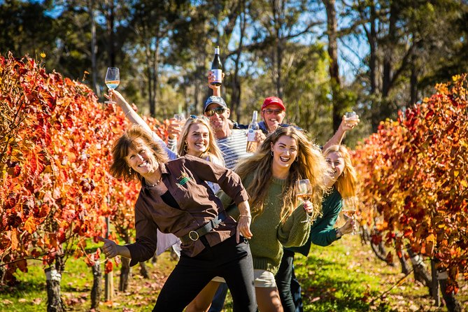 Margaret River Winery, Brewery Tour with Gourmet Lunch. - Key points at a glance