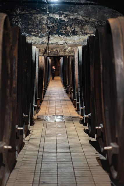 Maribor: Vinag Wine Cellar Tour with Wine tasting and snacks - Key points to know before you book