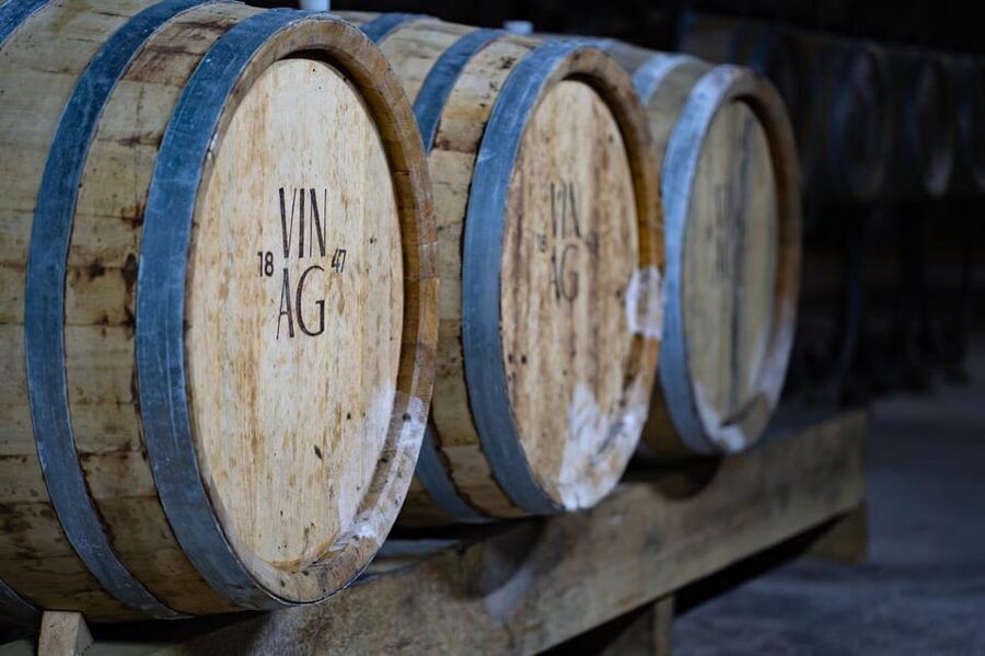 Maribor: Vinag Wine Cellar Tour with Wine tasting and snacks - Forty-five minutes among barrels and concrete tanks