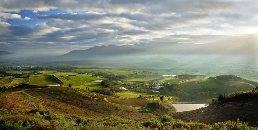 Marine Eco Cruise and Half-Day Wine Route with Tastings - What the Franschhoek Tram mention means