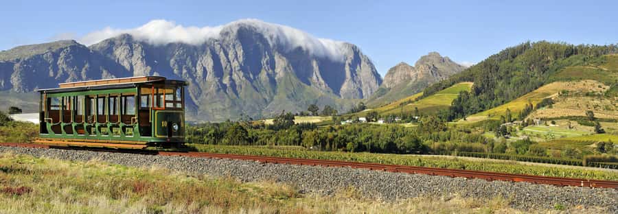 Marine Eco Cruise and Half-Day Wine Route with Tastings - Smart questions to ask before booking