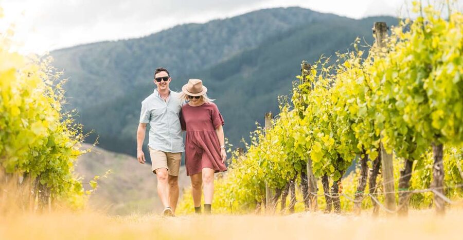 Marlborough: Wineries Visit and Tasting Session - What the guide adds to the afternoon