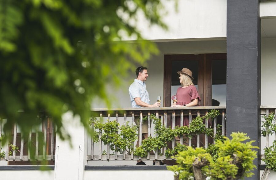 Marlborough: Wineries Visit and Tasting Session - Food, pacing, and what to bring