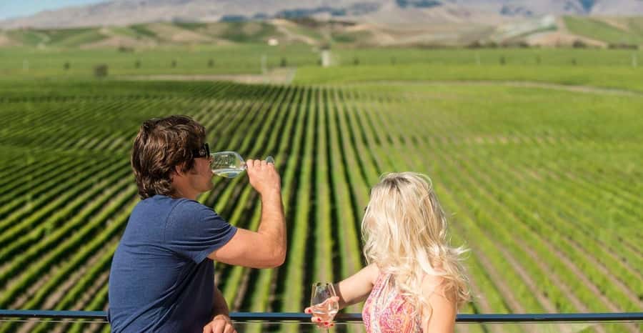 Marlborough: Wineries Visit and Tasting Session - Who should book this afternoon tour?