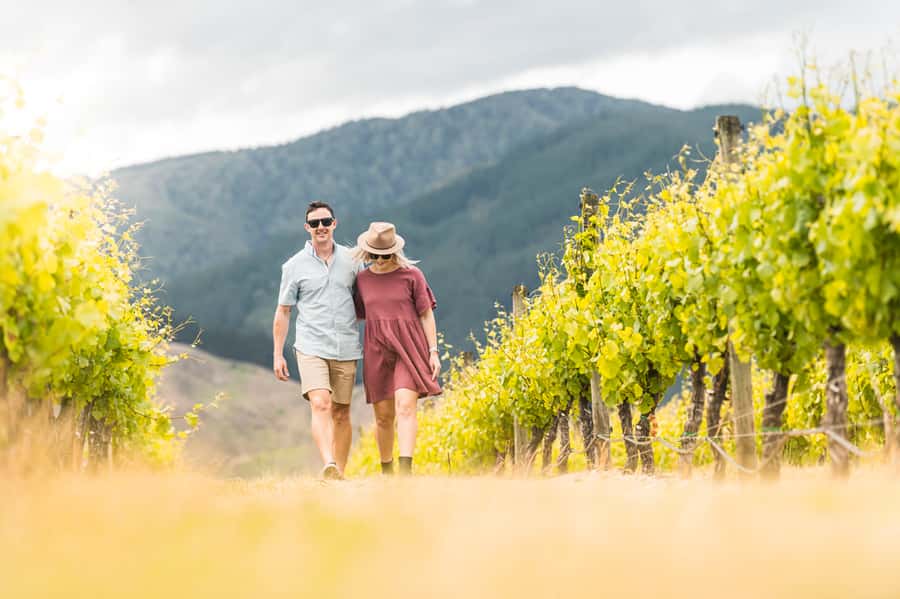 Marlborough: Wineries Visit and Tasting Session - Starting in Blenheim and heading into the vineyards