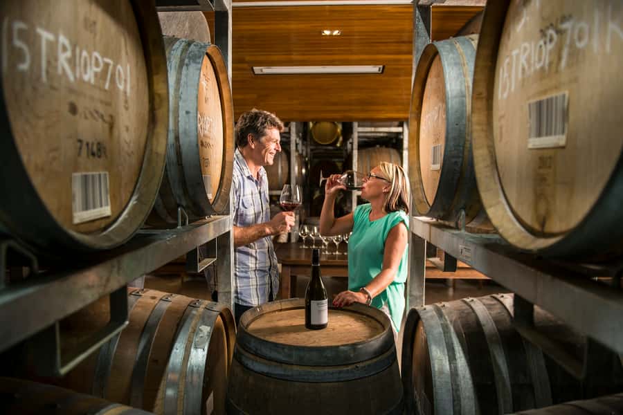 Marlborough: Wineries Visit with Tastings and 2-Course Lunch - From Blenheim into Marlborough wine country
