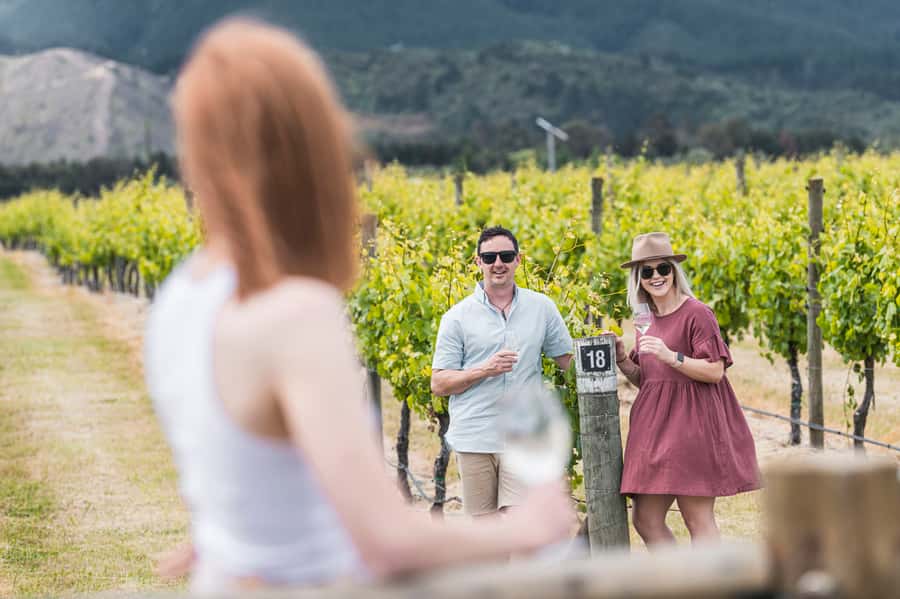 Marlborough: Wineries Visit with Tastings and 2-Course Lunch - Four wineries, with the possibility of a fifth