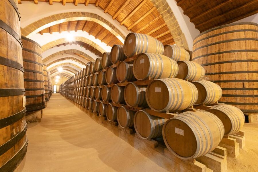 Marsala: Florio Winery Tour with Food-Paired Wine Tastings - Key points to know before you book