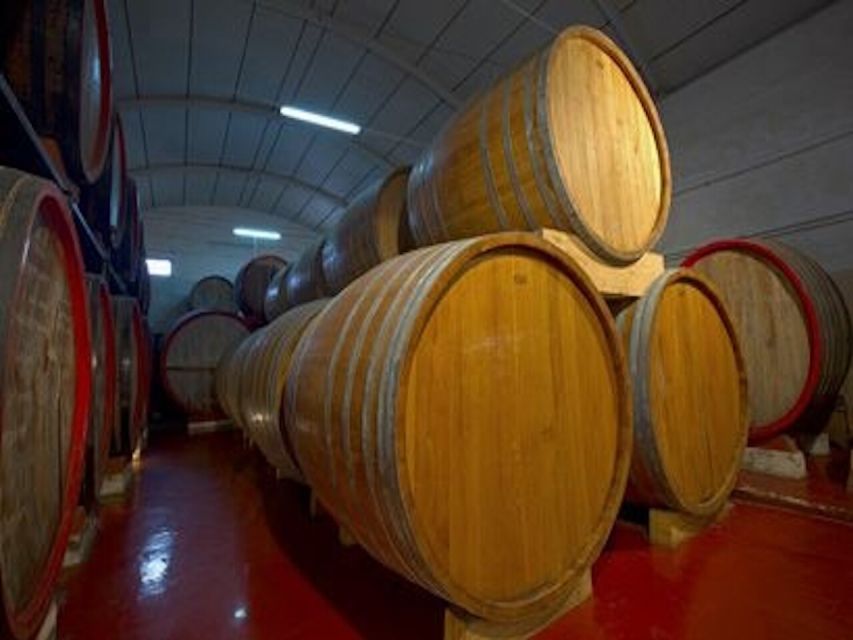 Marsala: Winery Tour with Wine Tasting and Local Products - Booking details worth checking