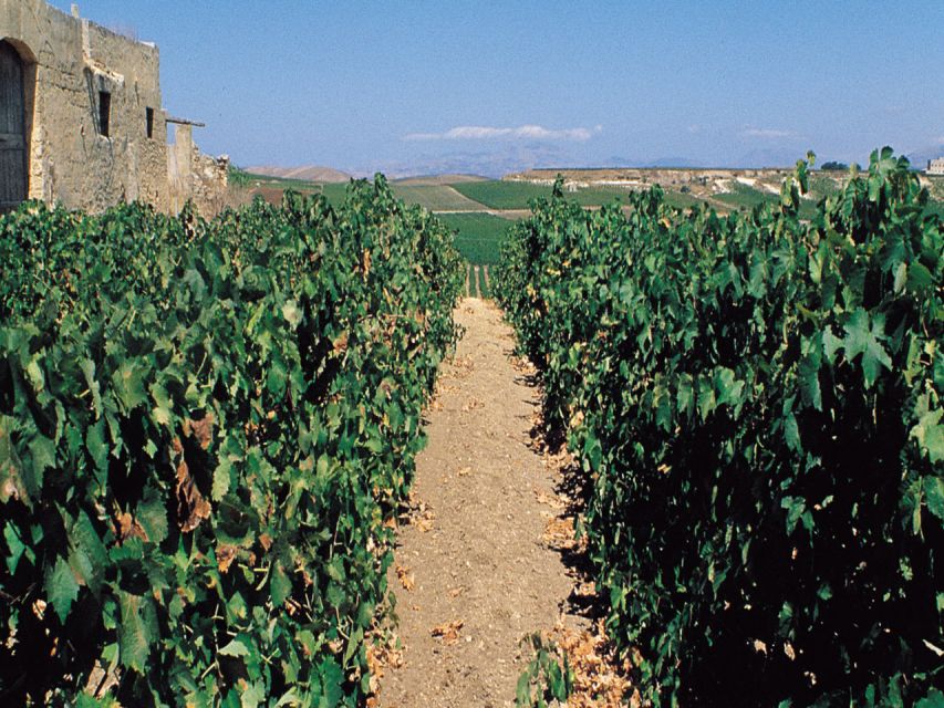 Marsala: Winery Tour with Wine Tasting and Local Products - Inside a Marsala winery in just 45 minutes