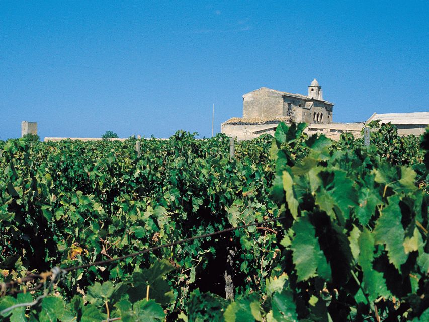 Marsala: Winery Tour with Wine Tasting and Local Products - The tasting: wine, cheese, bread, and almond cakes