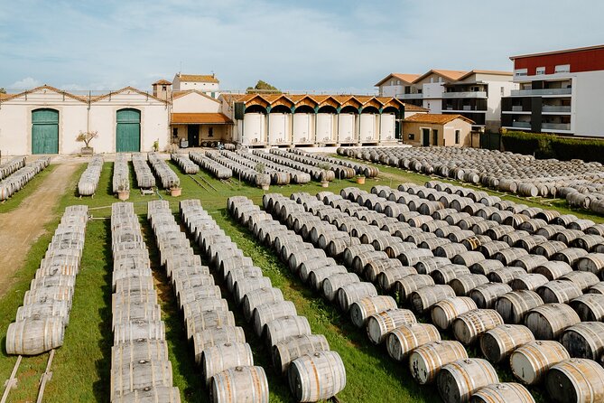 MARSEILLAN : Maison Noilly Prat, cellars visit and tasting FRENCH - What the historic cellar visit adds