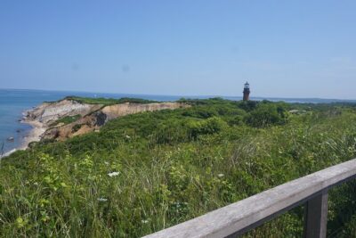 Martha’s Vineyard Day Trip with Optional Island Tour from Boston