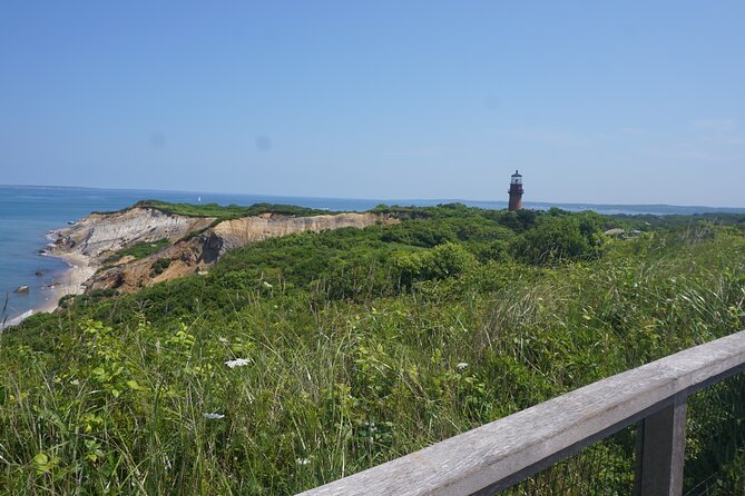 Martha's Vineyard Day Trip with Optional Island Tour from Boston - Woods Hole and the 45-minute ferry to Oak Bluffs