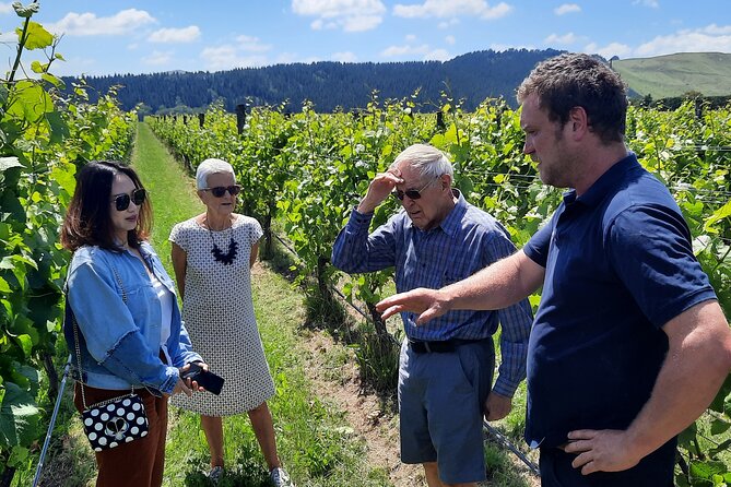 Martinborough Winery and Foodie Day Tour with vineyard lunch - Key points at a glance