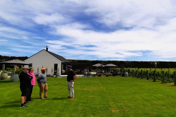 Martinborough Winery and Foodie Day Tour with vineyard lunch - Olivo and the story of olive oil