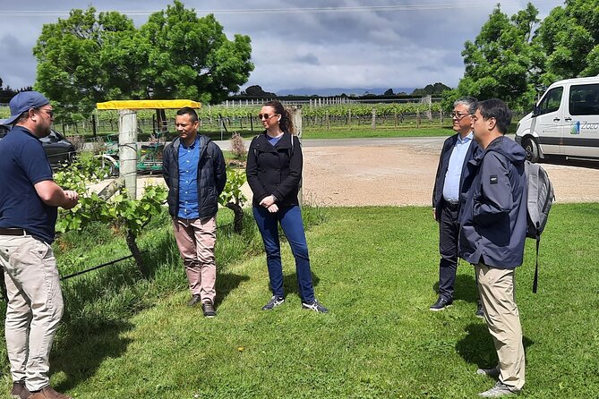 Martinborough Winery and Foodie Day Tour with vineyard lunch - Schoc Chocolates and the final tasting