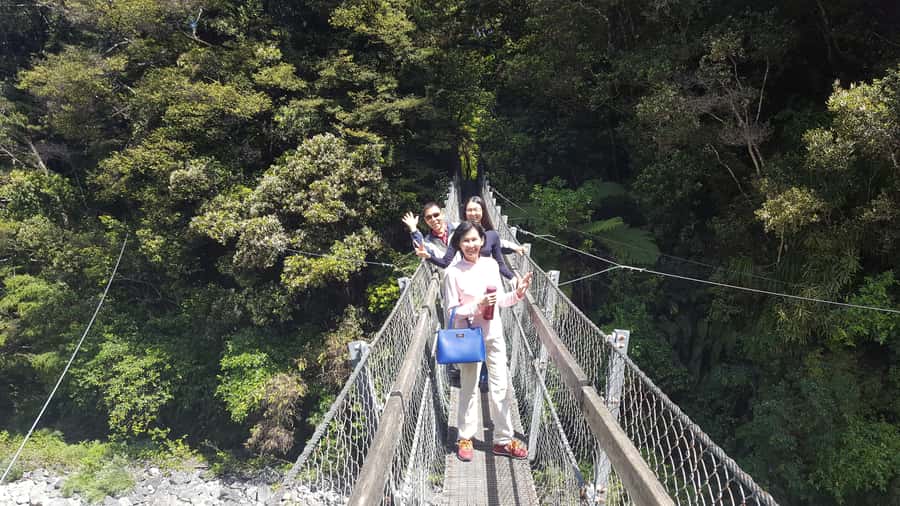 Martinborough Winery and South Wairarapa Wild Coast Tour - Key points to know before booking