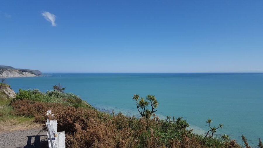 Martinborough Winery and South Wairarapa Wild Coast Tour - The road to Cape Palliser