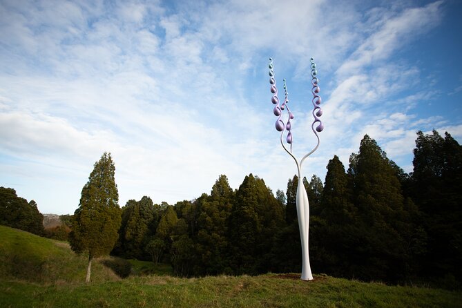 Matakana Art & Vineyard Experience incl. Lunch & Wine Tasting Tour From Auckland - What the private minibus adds to the experience