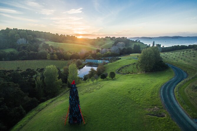 Matakana Art & Vineyard Experience incl. Lunch & Wine Tasting Tour From Auckland - Is $588.92 per person good value?