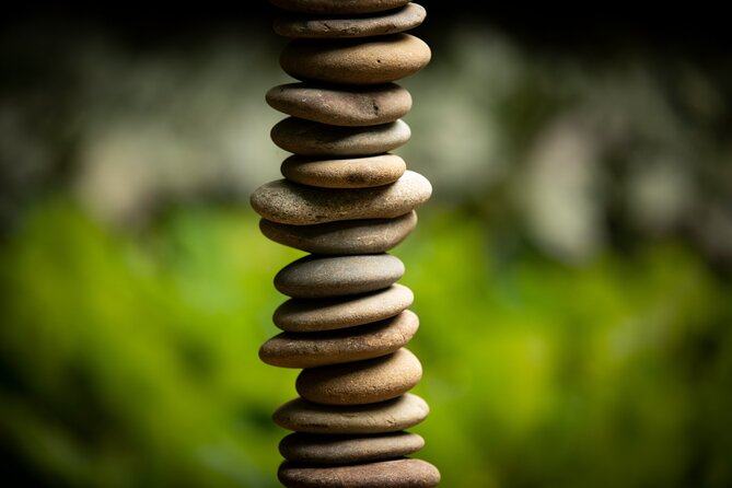 Matakana Art & Vineyard Experience incl. Lunch & Wine Tasting Tour From Auckland - Brick Bay combines sculpture, bush, and boutique wine