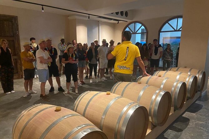 Matala Beach, Caves, and Winery Full-Day Tour from Heraklion - What the vehicle and group size mean