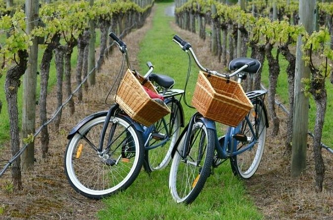 Mattituck New York Guided Farm and Wine Country Bike Tour - How much value do you get for $139.99?