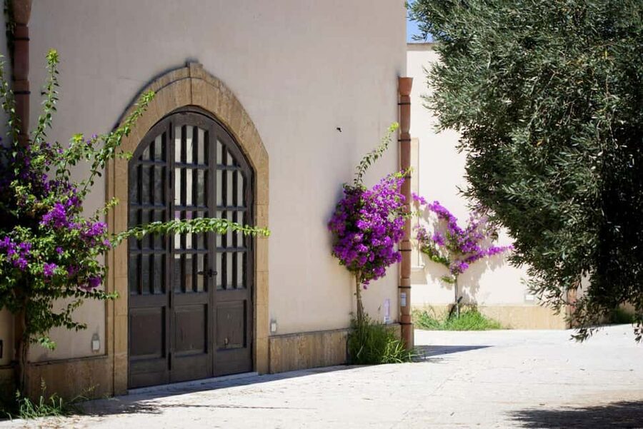 Mazara del Vallo: Full Tasting Tour at Assuli Winery - Key points to know before booking