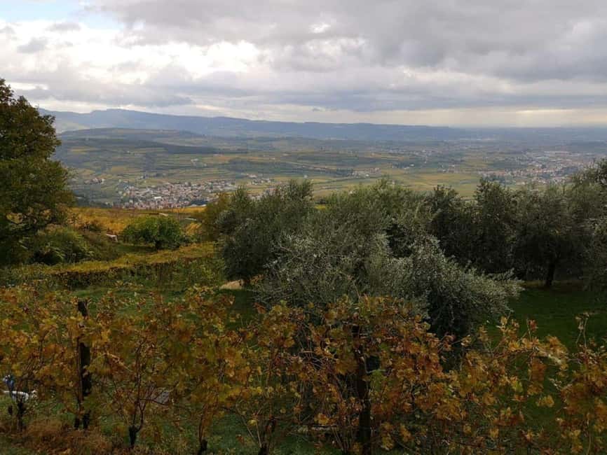 Mazzurega: Winery Tour with Tasting and Food Pairing - Key points to know before you book