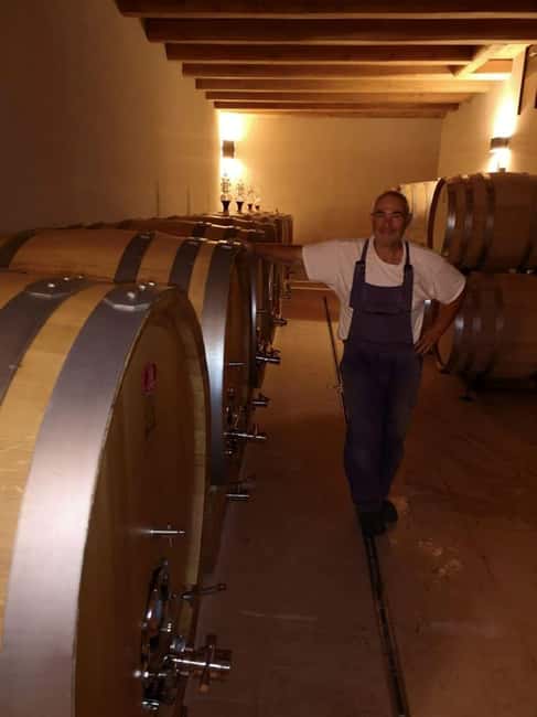 Mazzurega: Winery Tour with Tasting and Food Pairing - How the 150 minutes are likely to feel