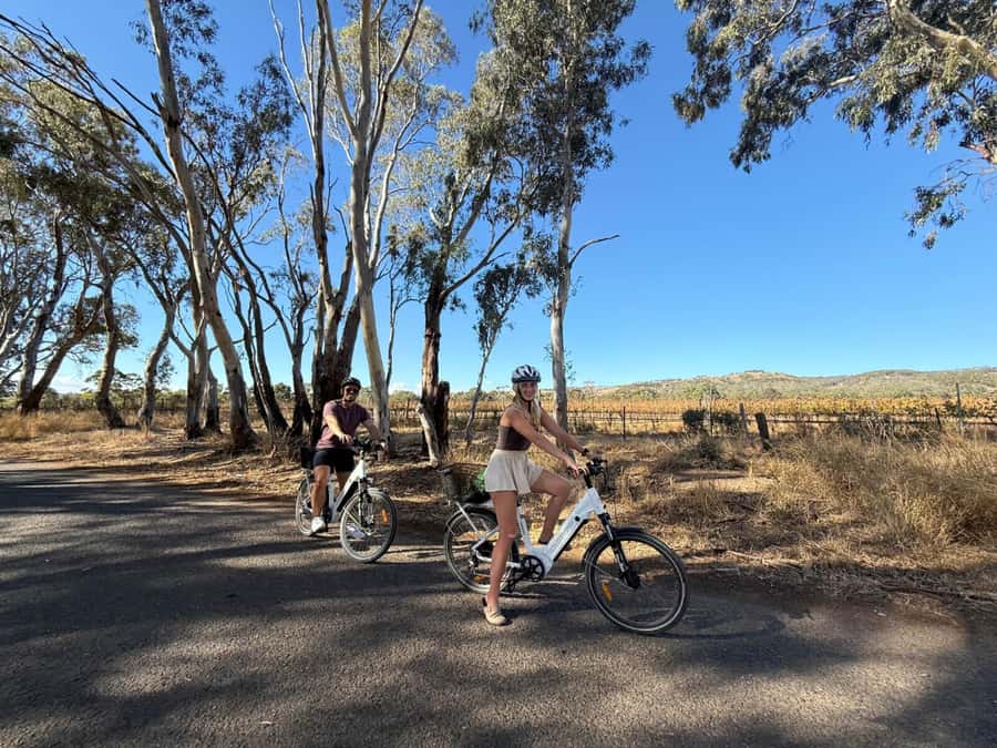 McLaren Vale: E-Bike Rental to Explore the Vineyards - Riding the vineyard tracks for a full day