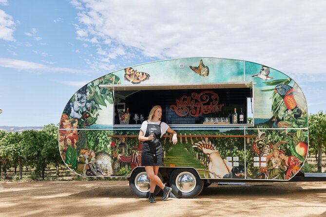 McLaren Vale North Hop-On Hop-Off Wine Tour - Who should book this experience