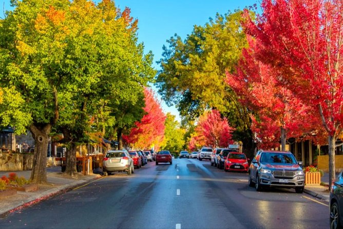 McLaren Vale Wine Region via Hahndorf Full-Day Tour from Adelaide - D’Arenberg Cube is the visual finale