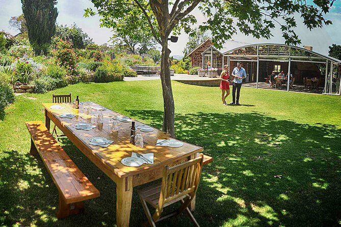 McLaren Vale Winery Small Group Tour with Wine Tasting and Lunch - Key points to know before booking