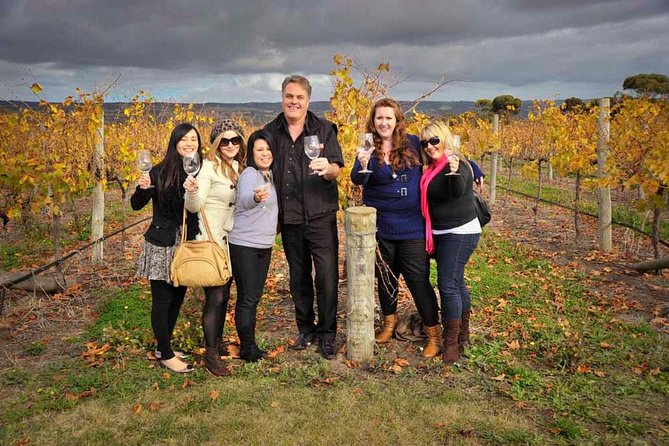 McLaren Vale Winery Small Group Tour with Wine Tasting and Lunch - The coastal drive sets the tone