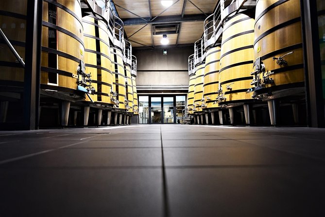Medoc Afternoon Wine Tour - 2 Wineries, tastings & delicacies - Practical details that can affect your afternoon