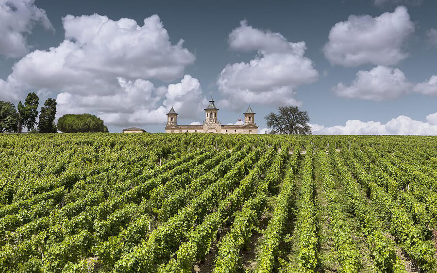 Médoc Morning Wine Tour - Winery & Tastings - Key points to know before booking