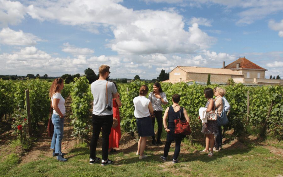Médoc Morning Wine Tour - Winery & Tastings - The minivan ride into the Médoc countryside