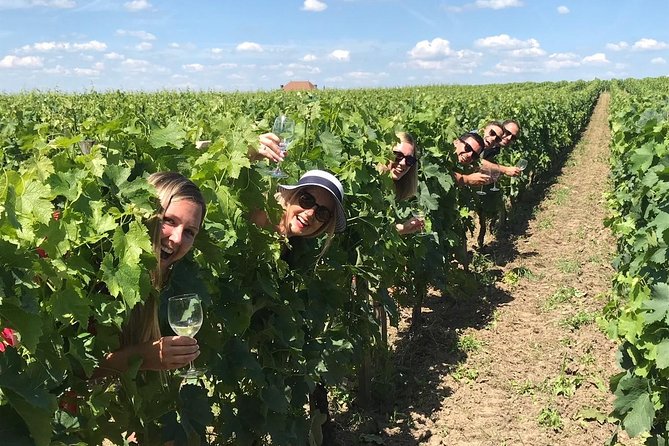Medoc or Saint Emilion Wine Tasting and Chateau from Bordeaux - Meeting your guide at 2 p.m. in Bordeaux