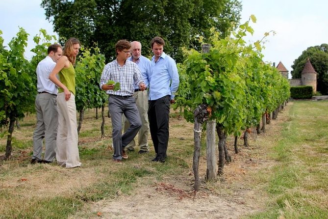 Medoc or Saint Emilion Wine Tasting and Chateau from Bordeaux - What makes the Saint-Émilion option different